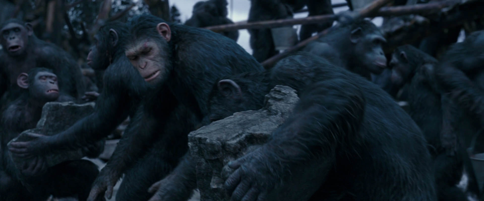 War for the Planet of the Apes (2017) screencap 8076