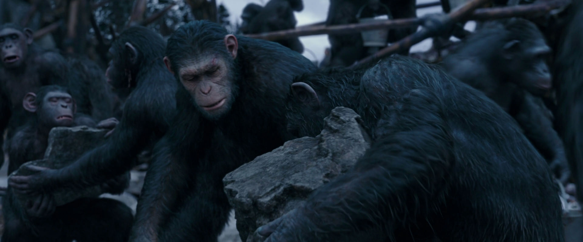 War for the Planet of the Apes (2017) movie still 8077