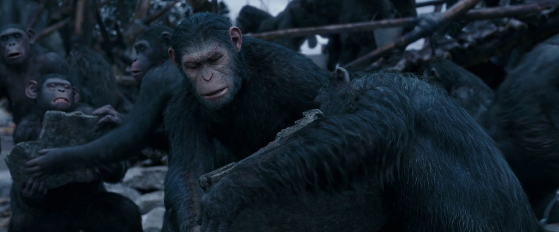 War for the Planet of the Apes (2017) HD screenshot 8078
