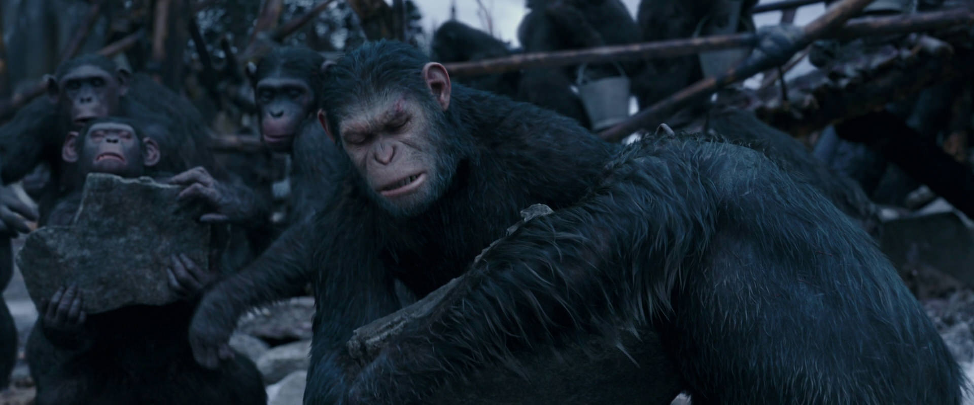 War for the Planet of the Apes (2017) screencap 8079