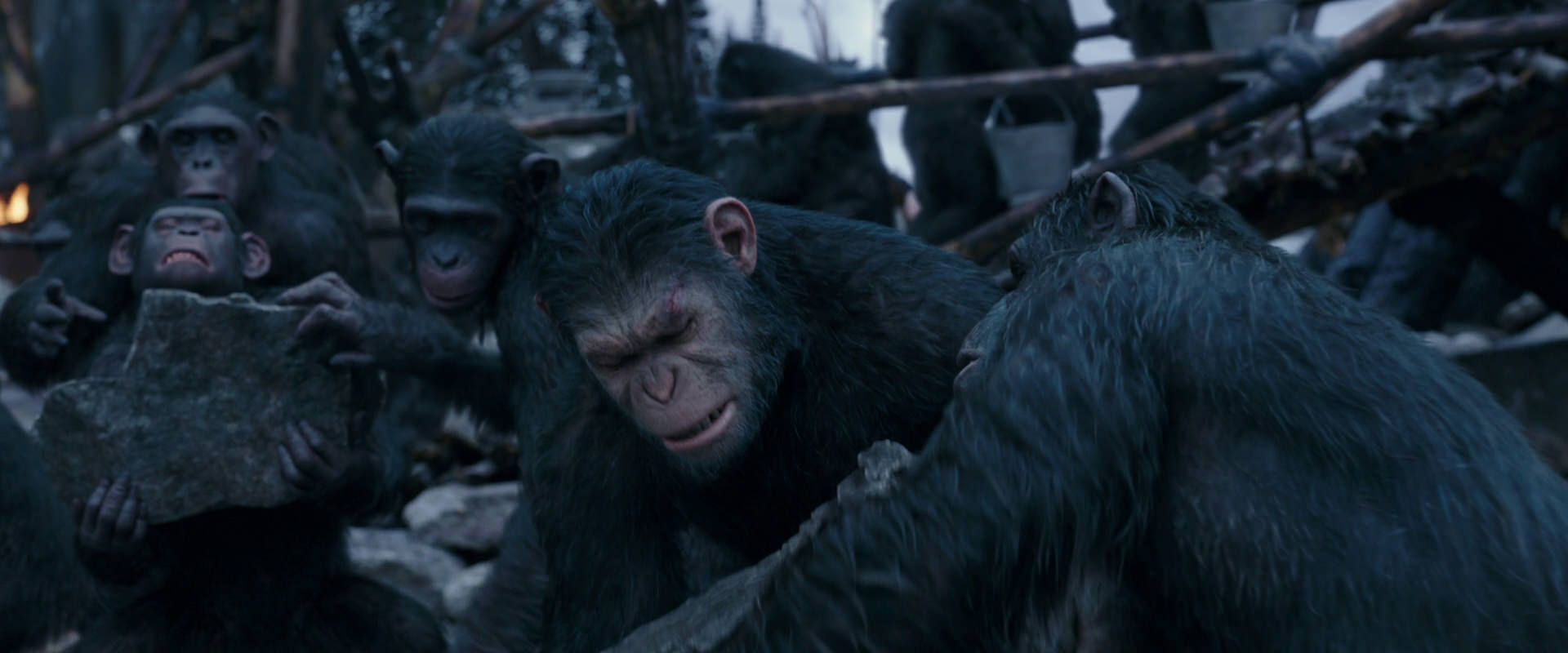 War for the Planet of the Apes (2017) movie still 8080