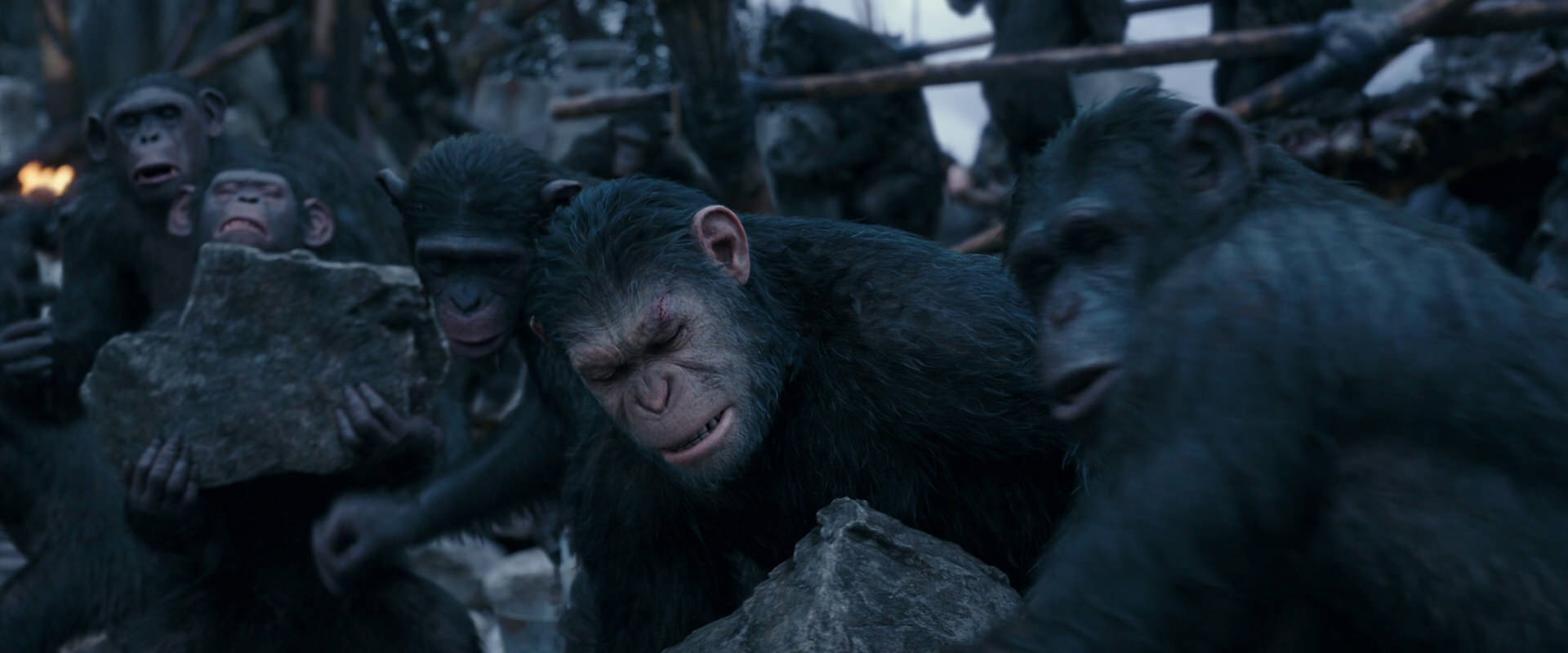War for the Planet of the Apes (2017) HD screenshot 8081