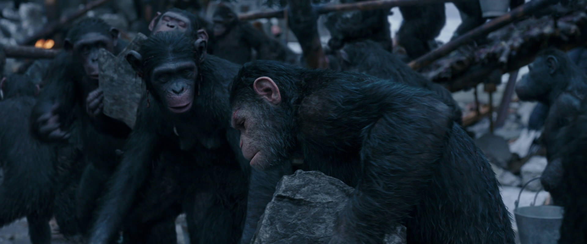 War for the Planet of the Apes (2017) movie still 8083