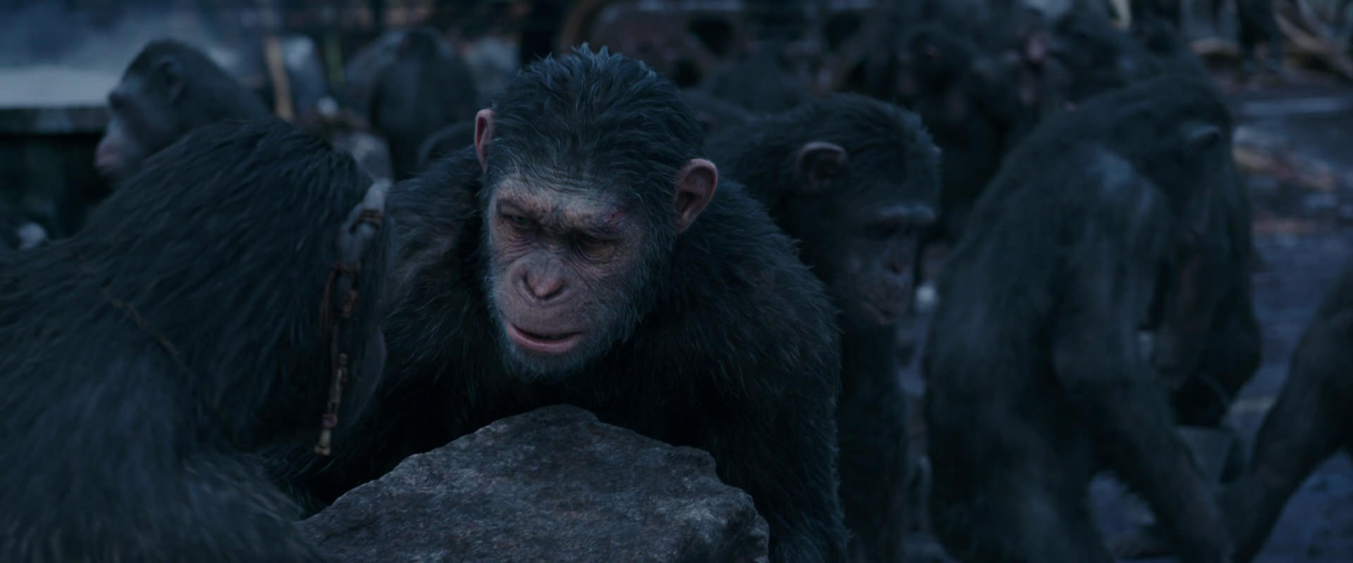 War for the Planet of the Apes (2017) screencap 8085