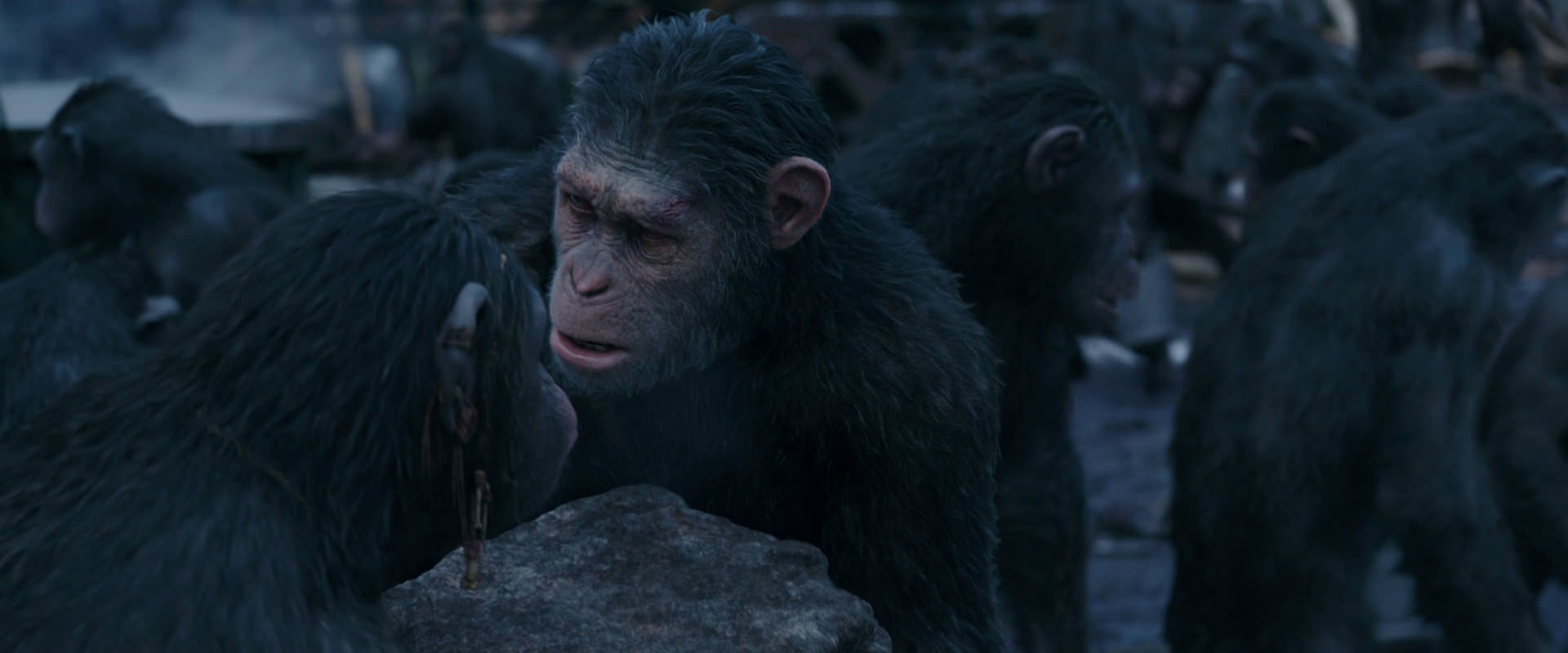 War for the Planet of the Apes (2017) movie still 8086