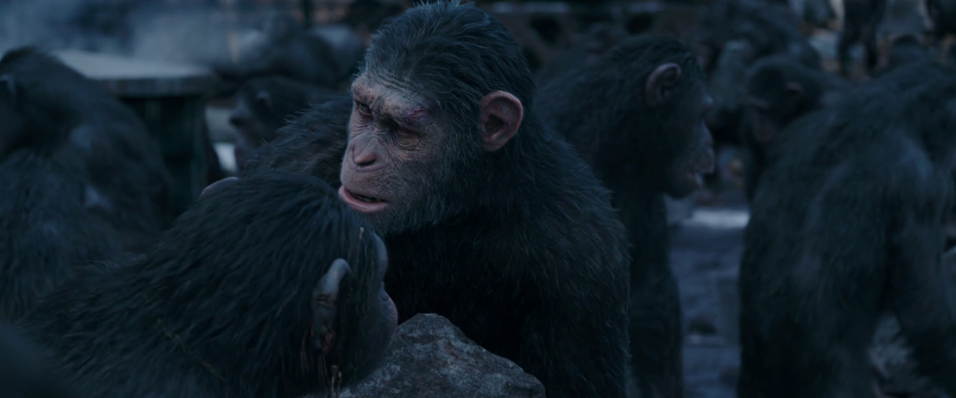 War for the Planet of the Apes (2017) HD screenshot 8087