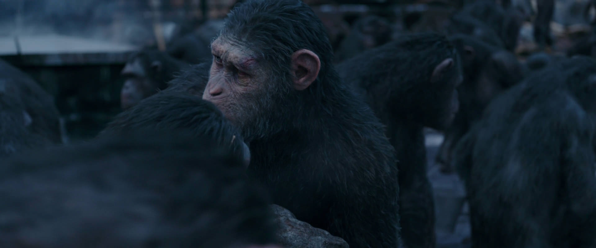 War for the Planet of the Apes (2017) screencap 8088