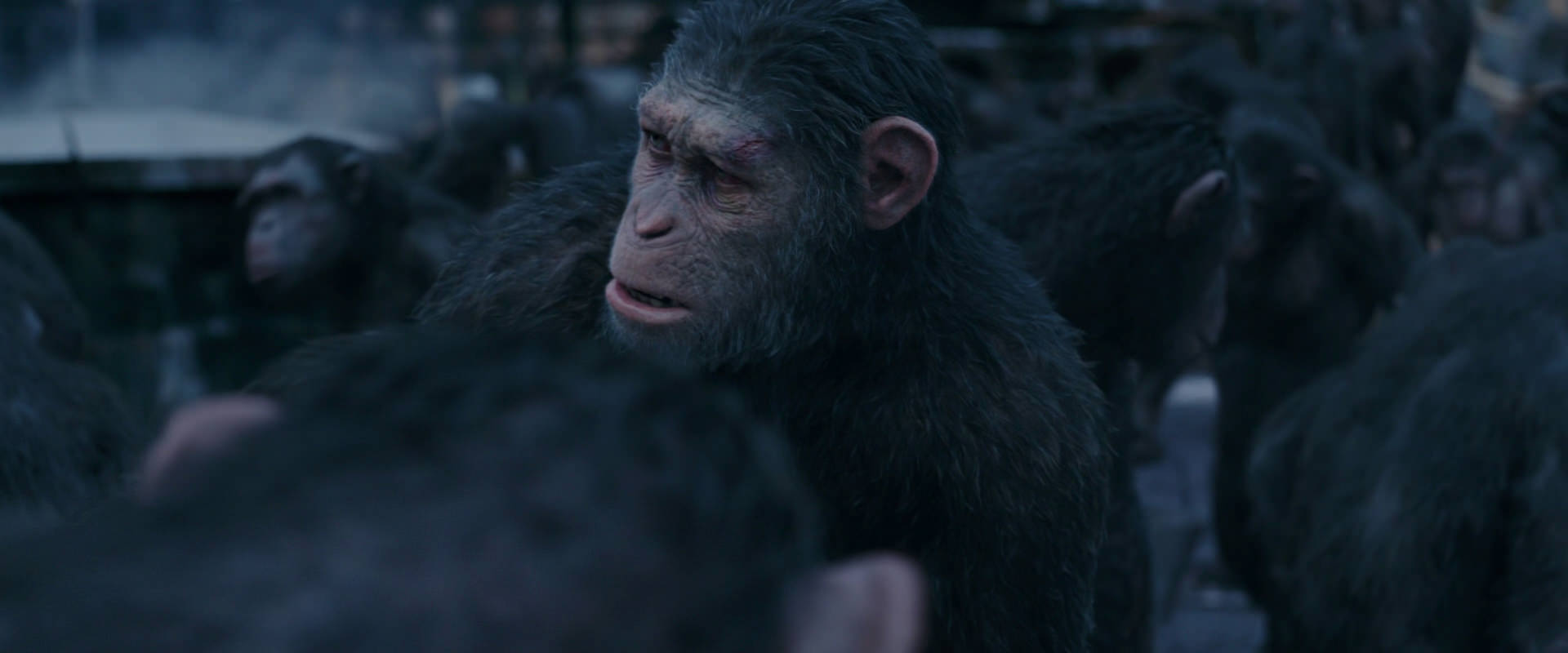 War for the Planet of the Apes (2017) movie still 8089