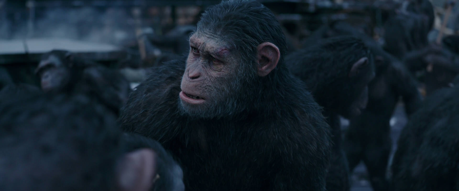 War for the Planet of the Apes (2017) HD screenshot 8090