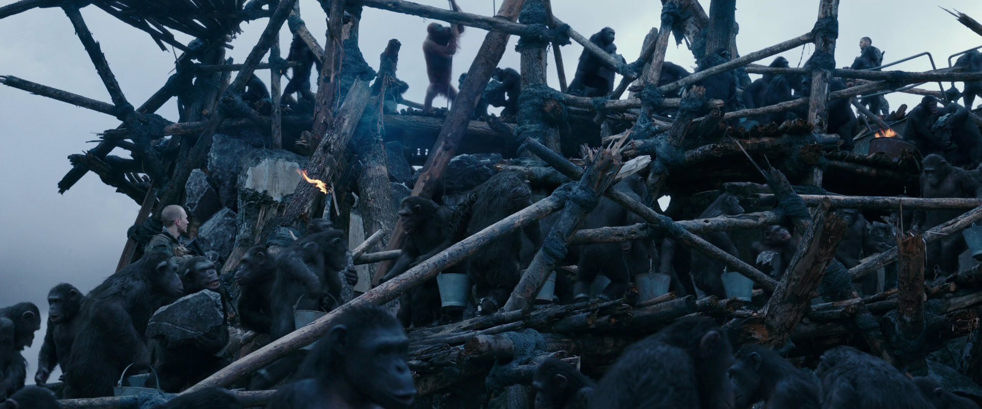 War for the Planet of the Apes (2017) screencap 8091