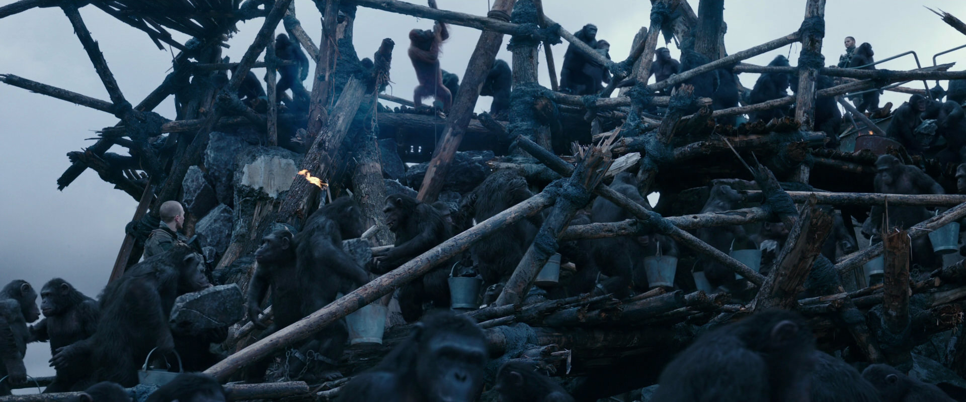 War for the Planet of the Apes (2017) movie still 8092