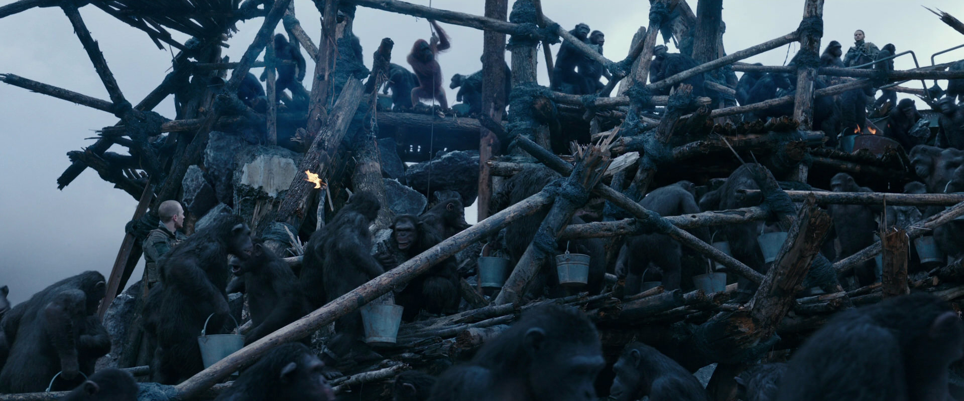 War for the Planet of the Apes (2017) screencap 8094