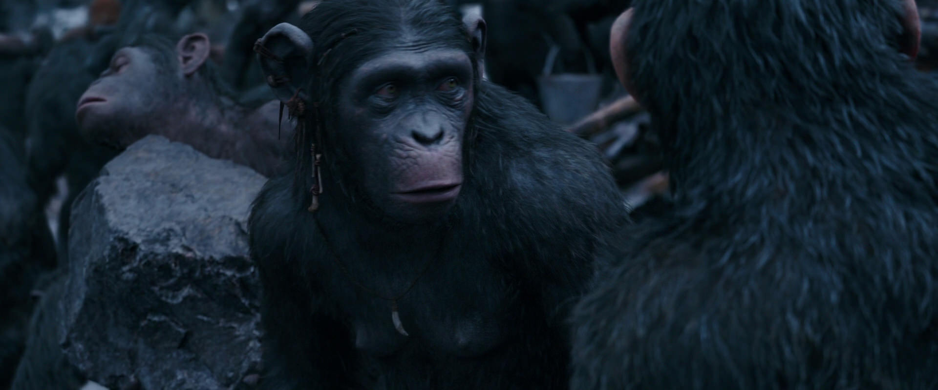 War for the Planet of the Apes (2017) movie still 8095