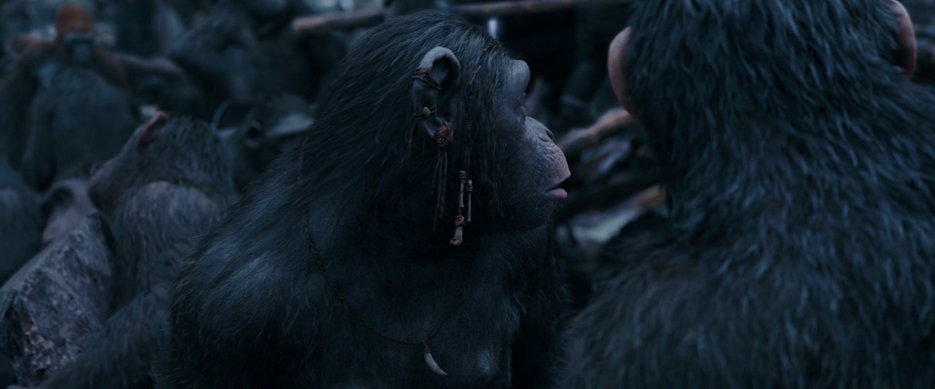 War for the Planet of the Apes (2017) movie still 8098