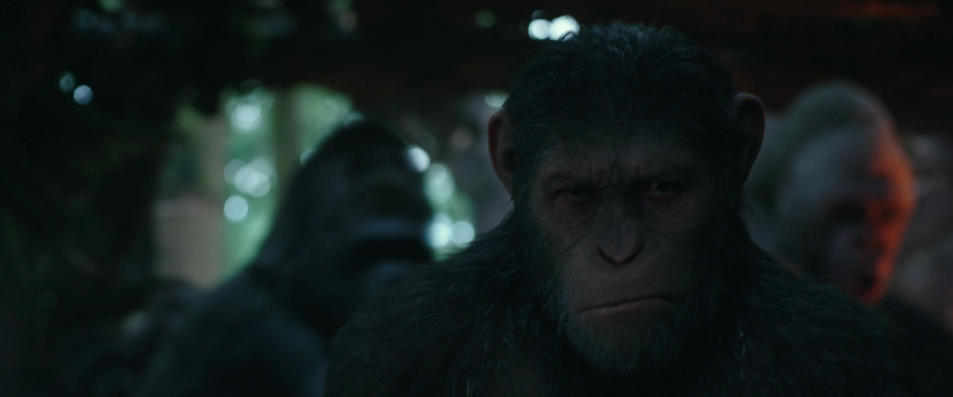 War for the Planet of the Apes (2017) screencap 810