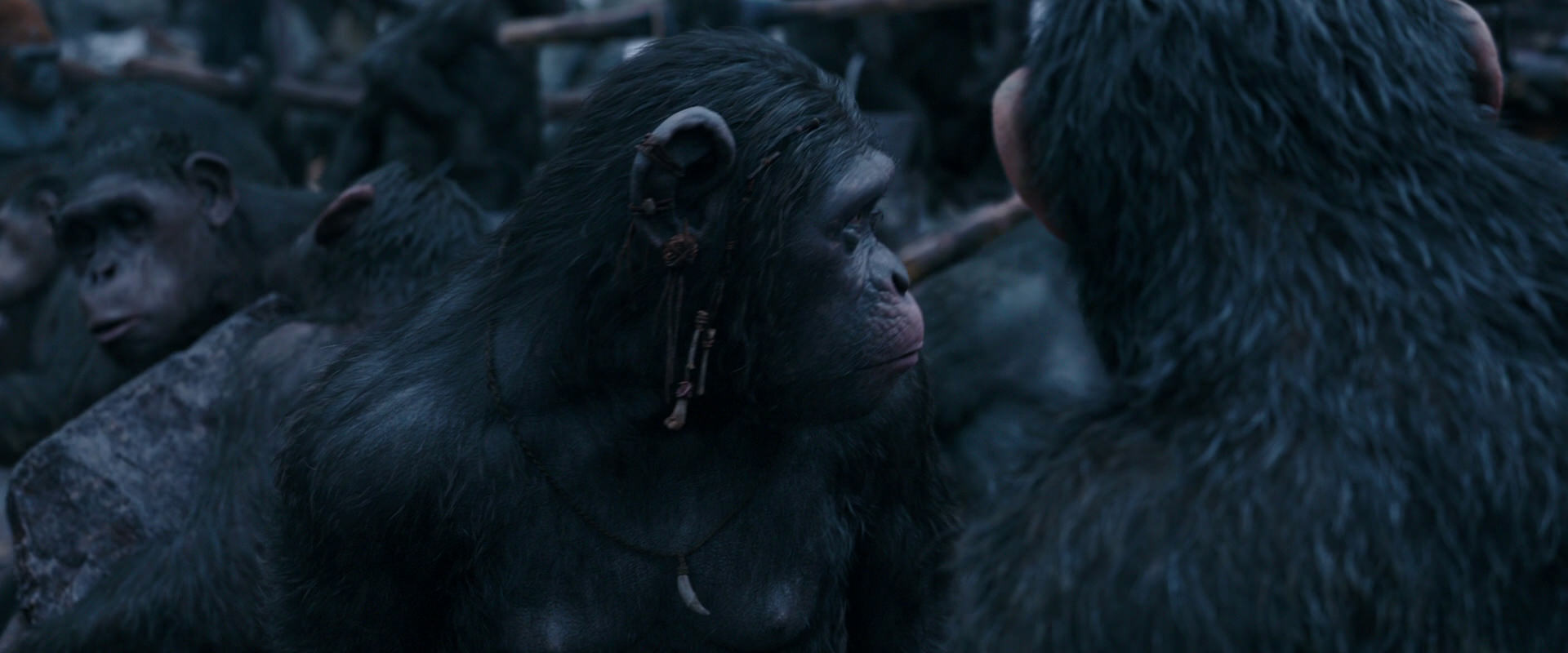 War for the Planet of the Apes (2017) screencap 8100