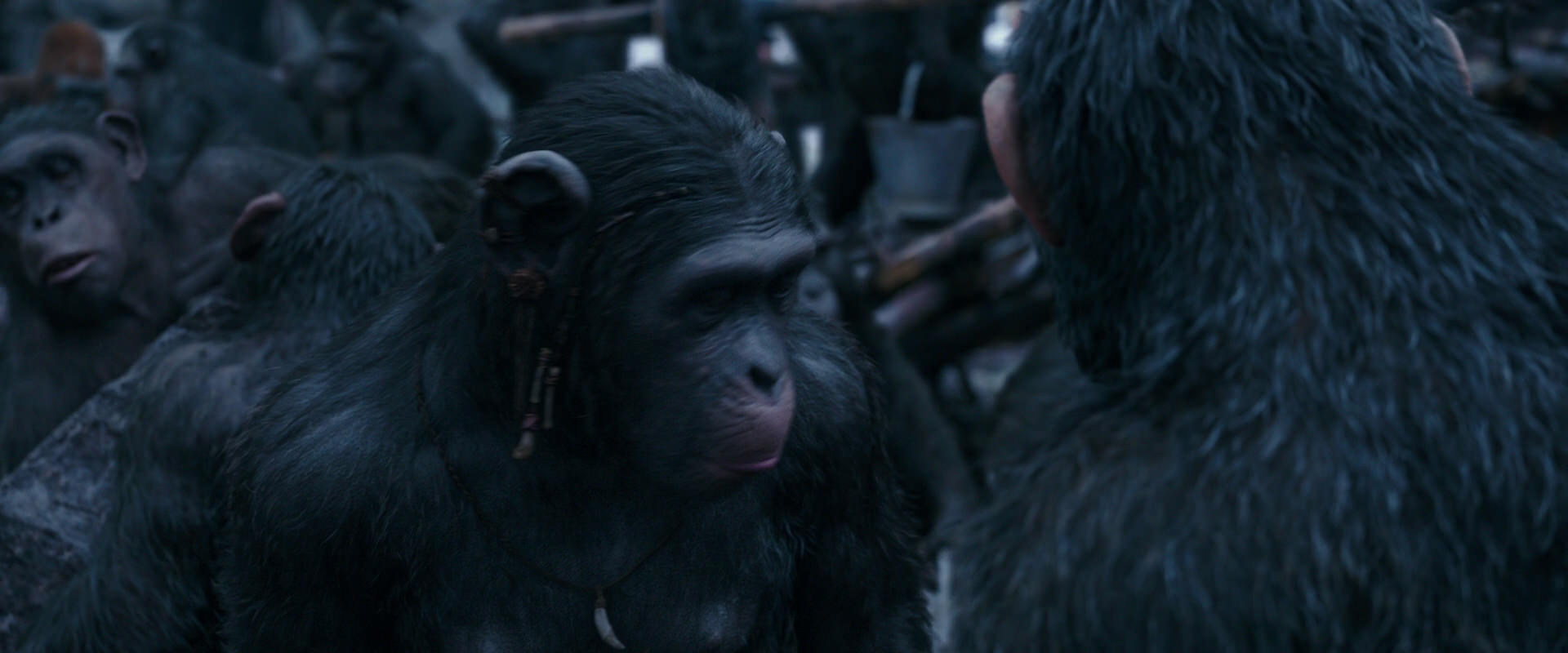 War for the Planet of the Apes (2017) movie still 8101
