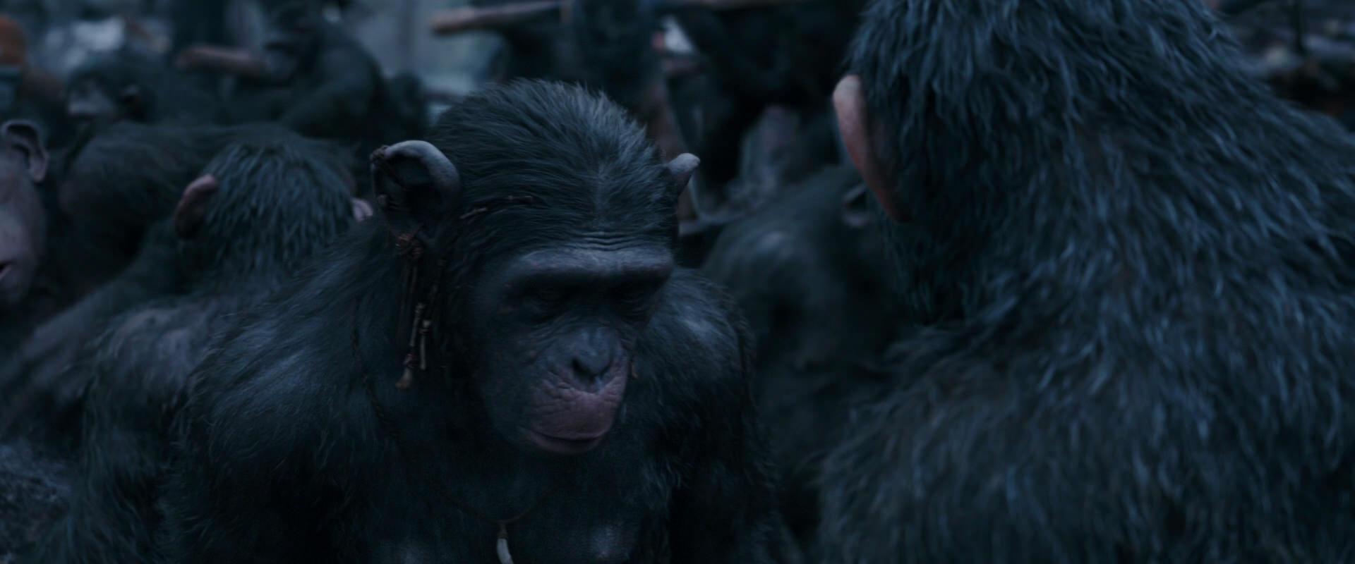War for the Planet of the Apes (2017) HD screenshot 8102