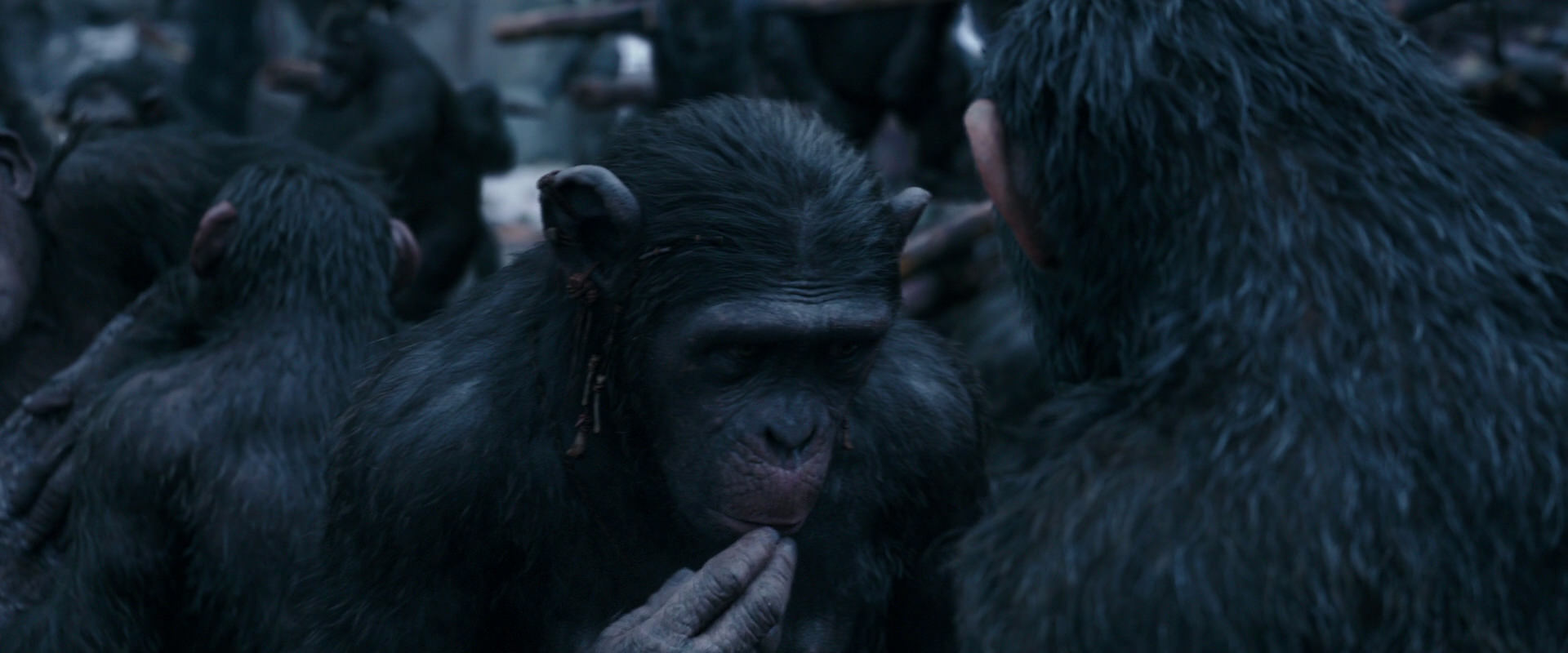 War for the Planet of the Apes (2017) screencap 8103