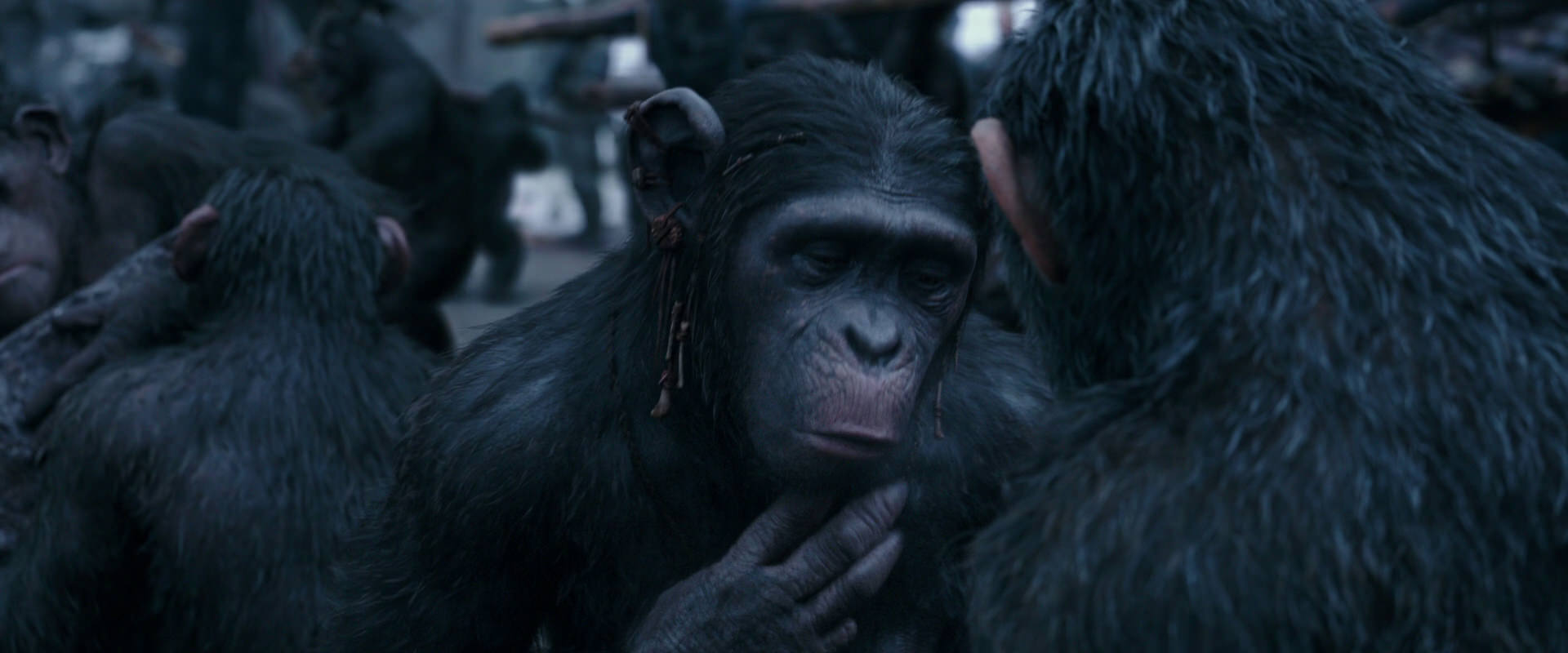 War for the Planet of the Apes (2017) movie still 8104