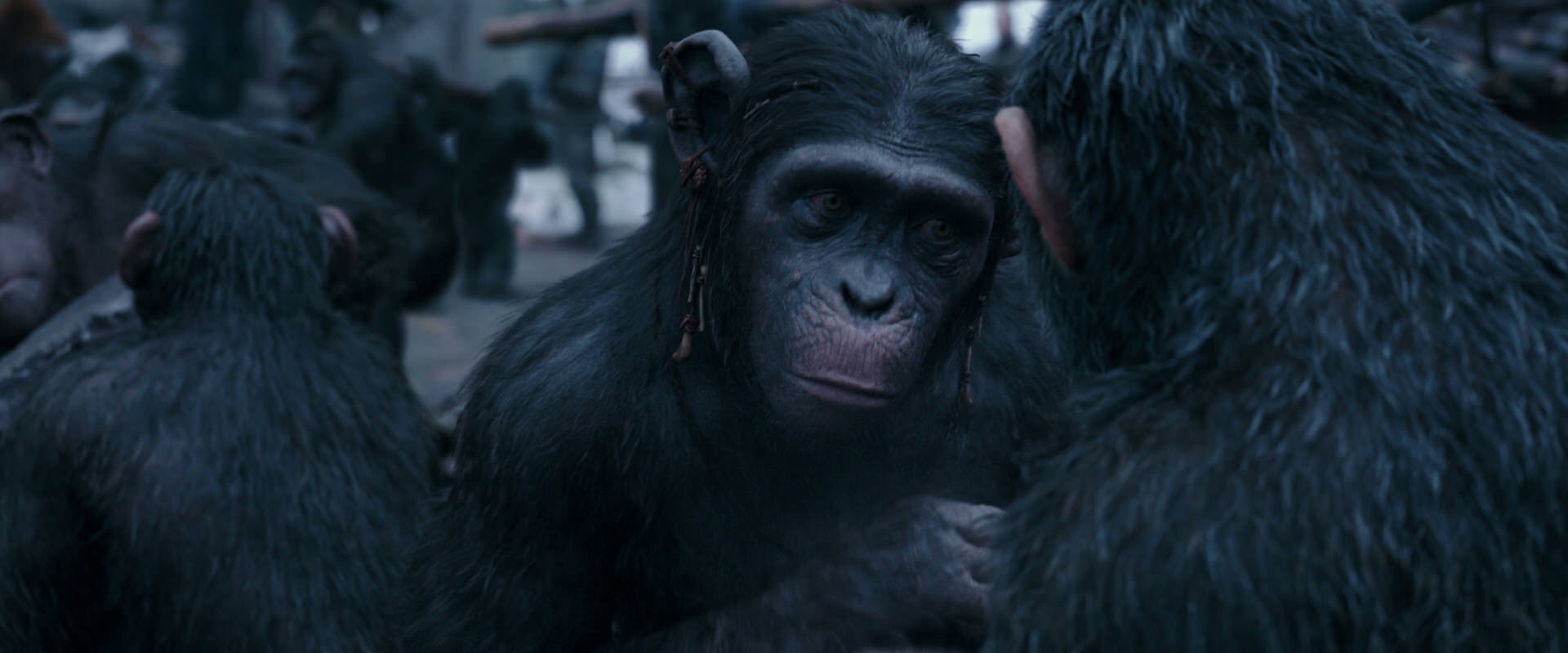 War for the Planet of the Apes (2017) HD screenshot 8105