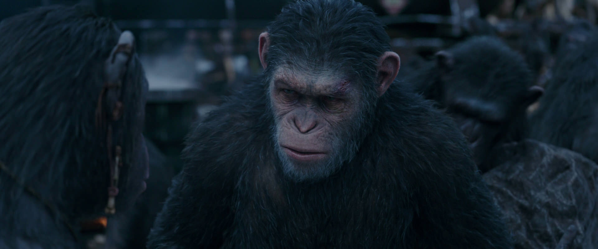 War for the Planet of the Apes (2017) screencap 8106