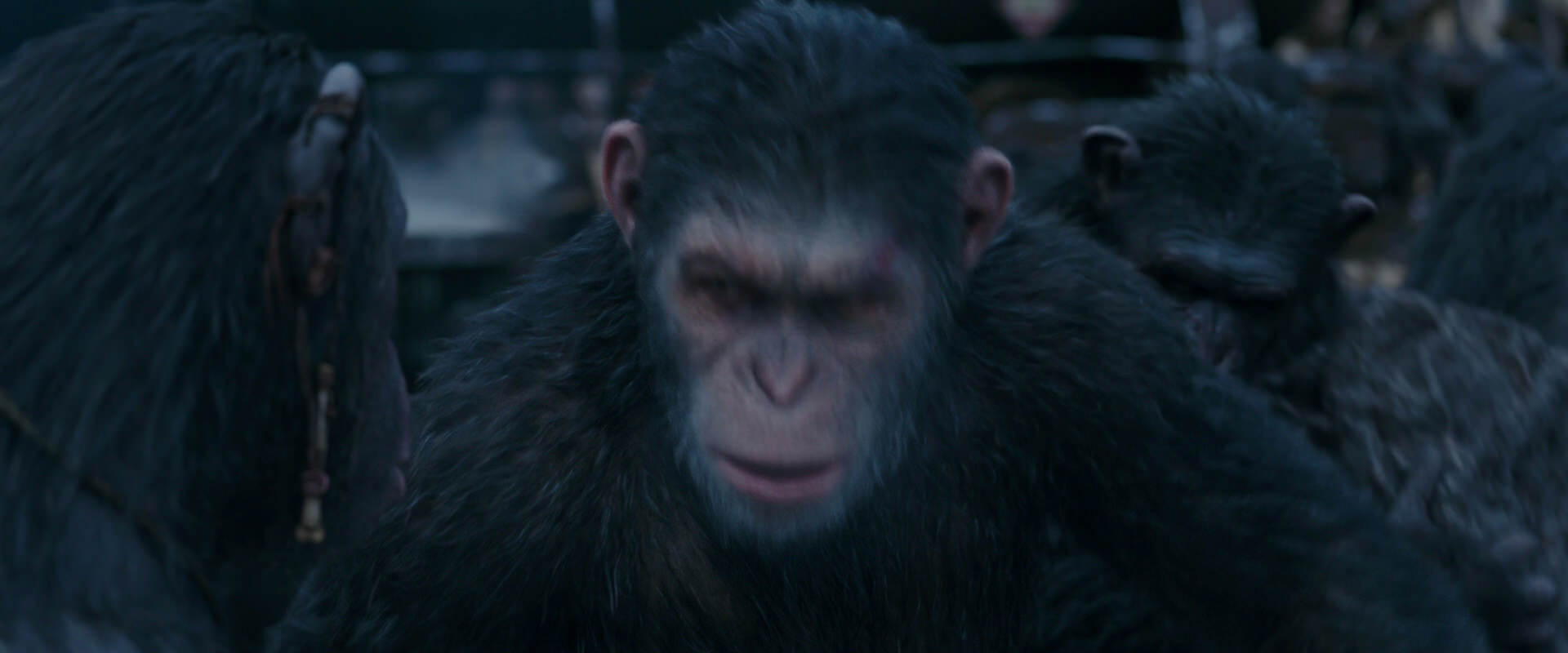 War for the Planet of the Apes (2017) movie still 8107