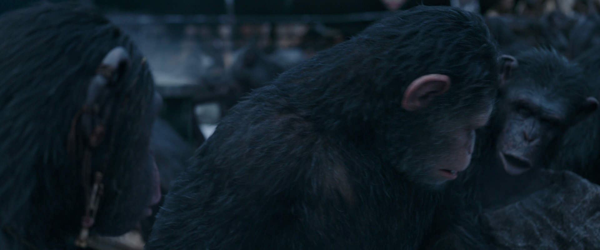 War for the Planet of the Apes (2017) screencap 8109