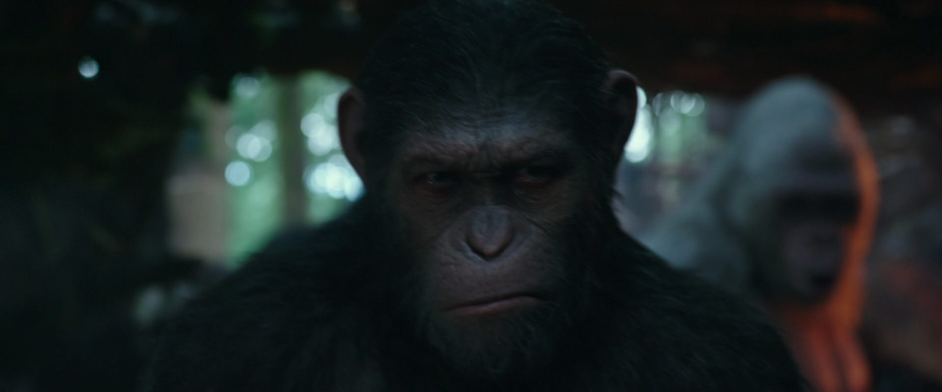 War for the Planet of the Apes (2017) movie still 811