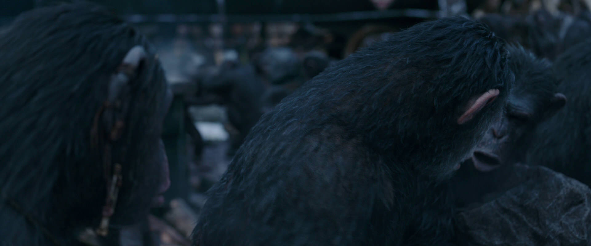 War for the Planet of the Apes (2017) movie still 8110