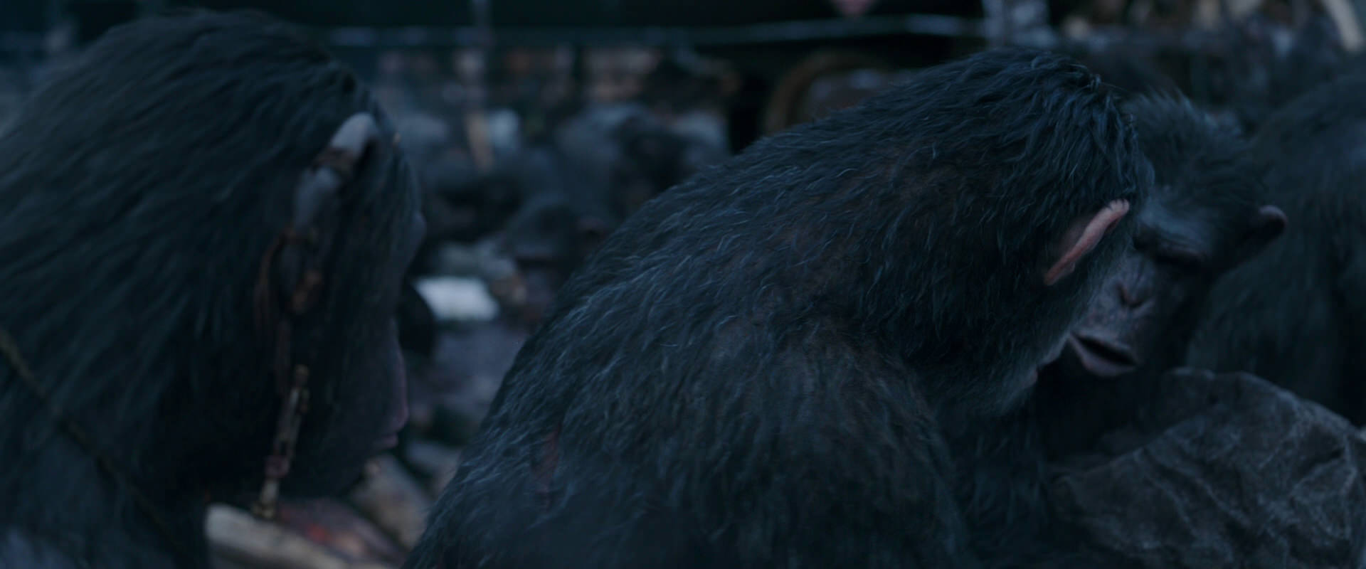 War for the Planet of the Apes (2017) HD screenshot 8111