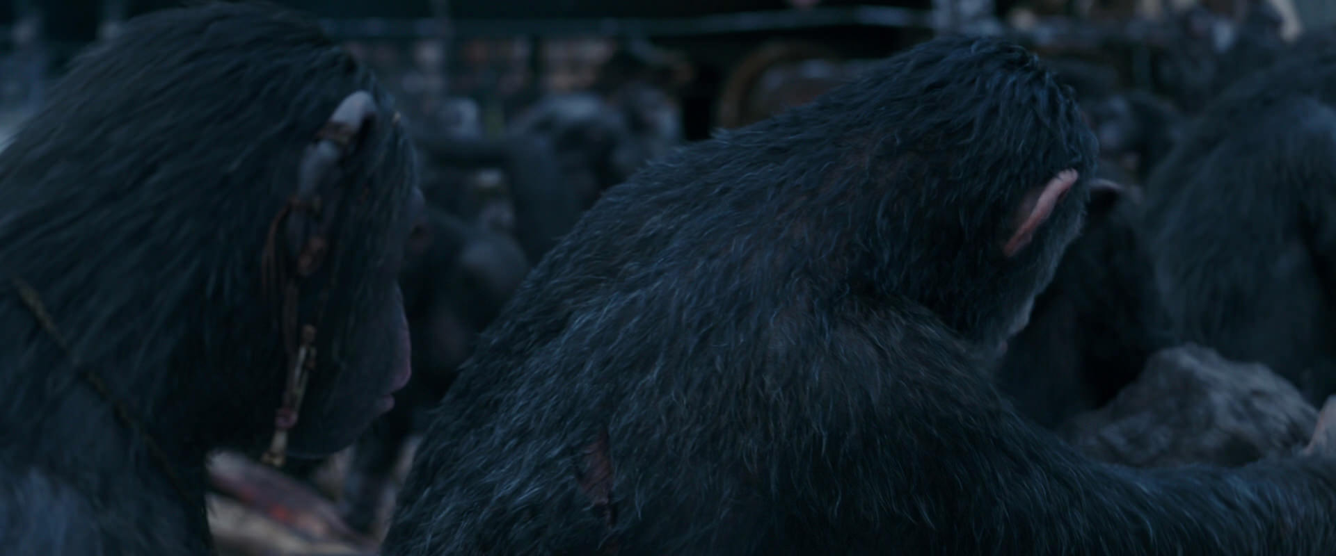 War for the Planet of the Apes (2017) screencap 8112