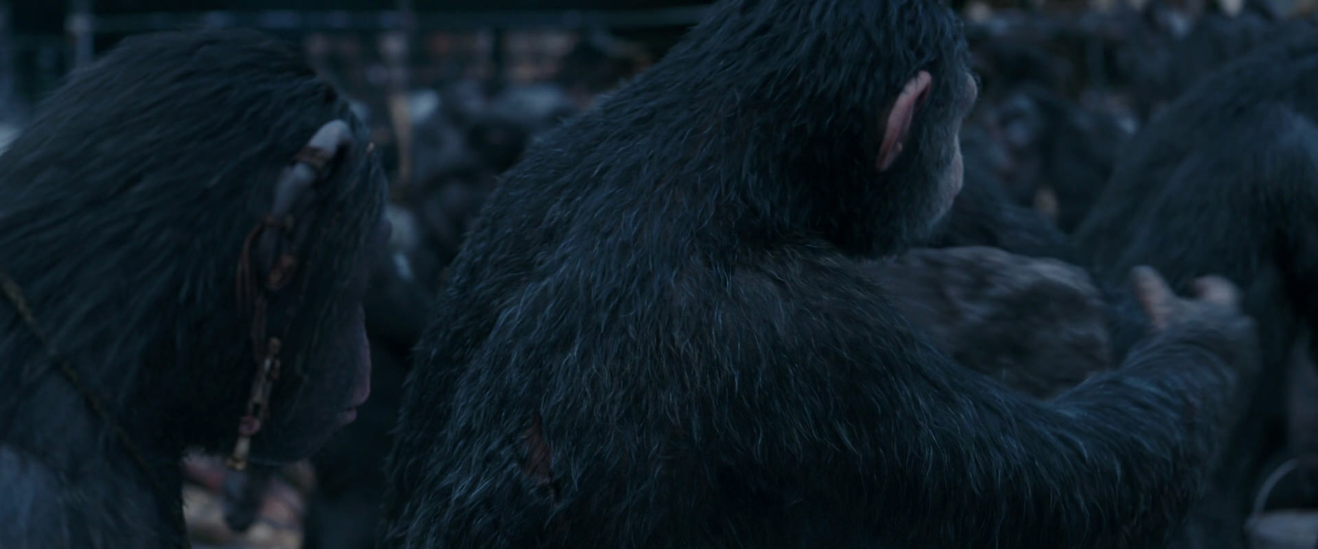 War for the Planet of the Apes (2017) movie still 8113