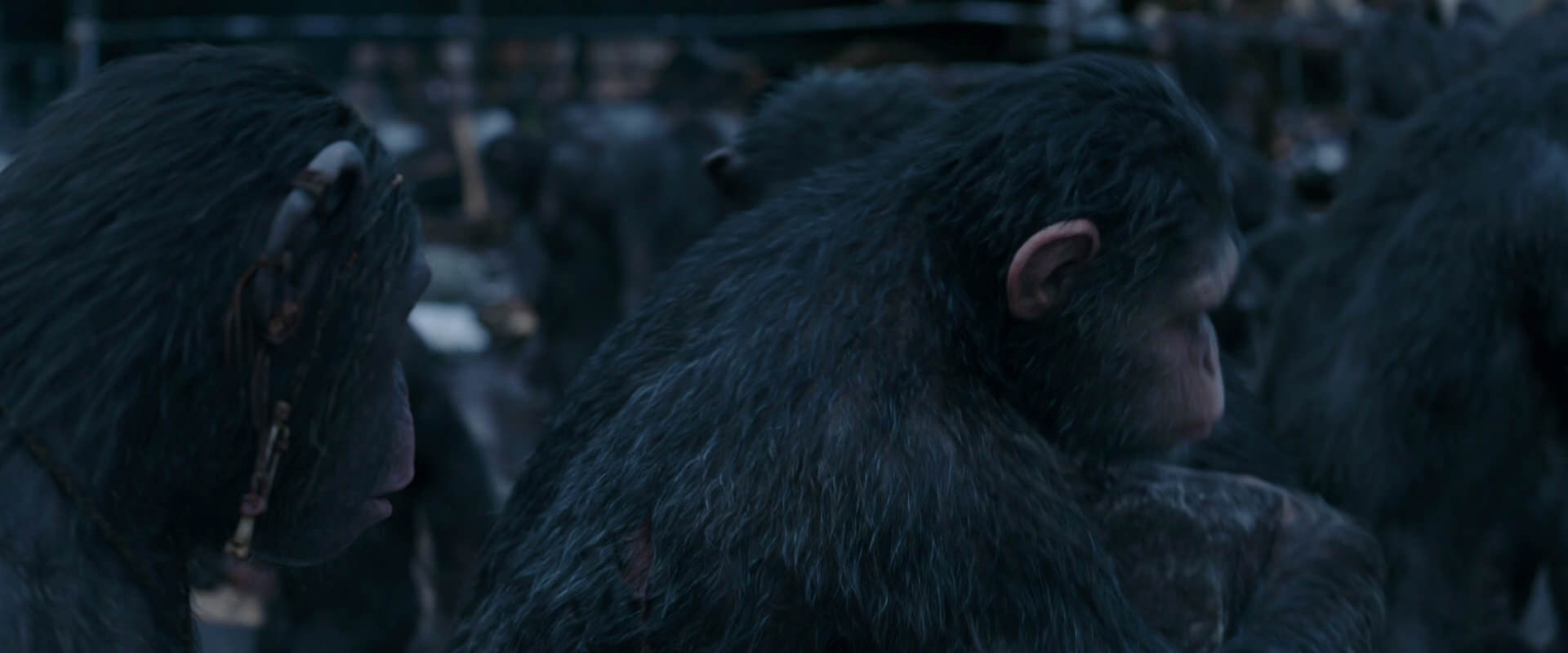 War for the Planet of the Apes (2017) HD screenshot 8114
