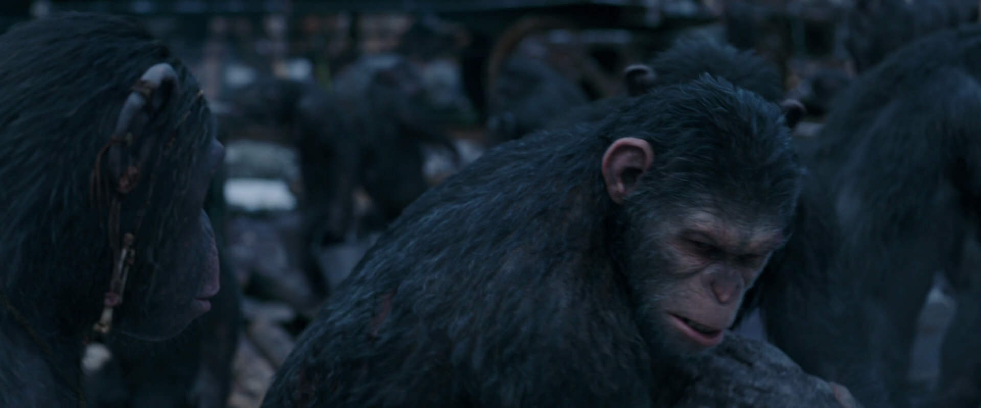 War for the Planet of the Apes (2017) screencap 8115