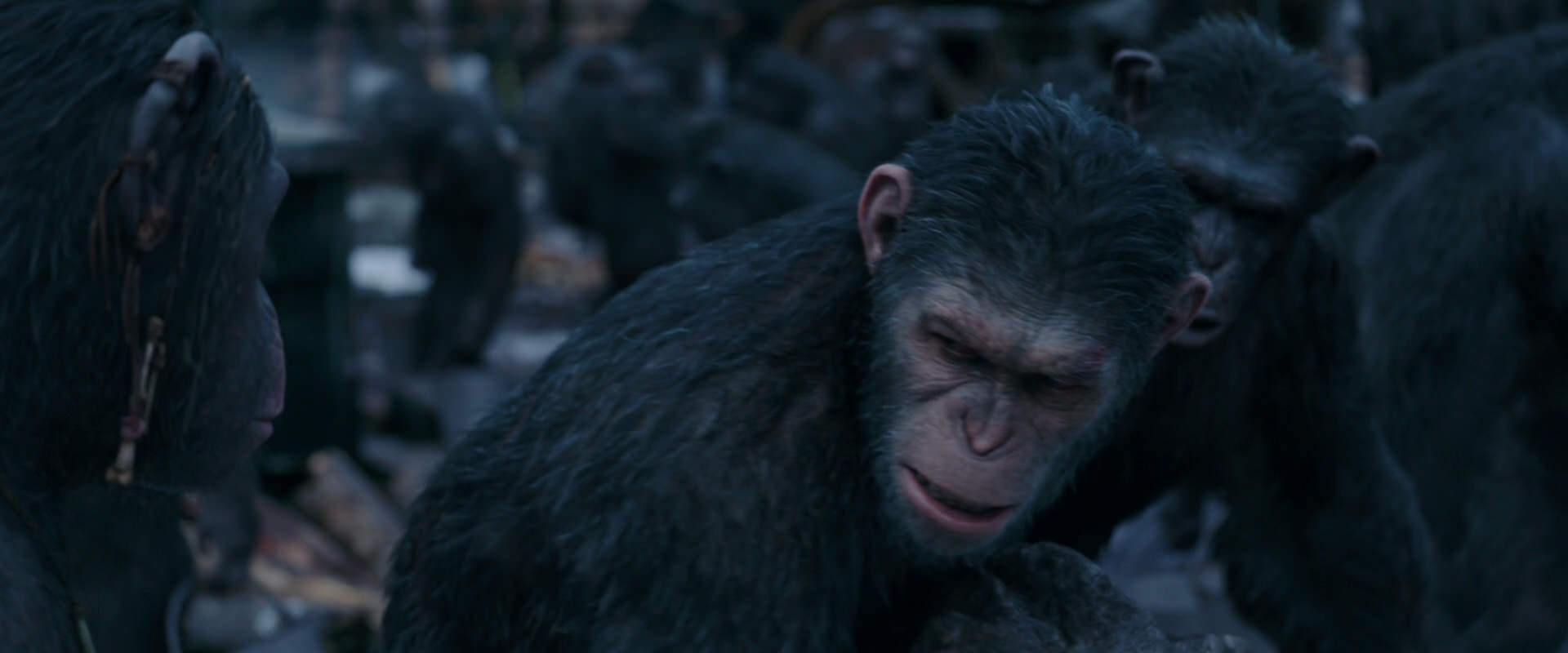 War for the Planet of the Apes (2017) movie still 8116