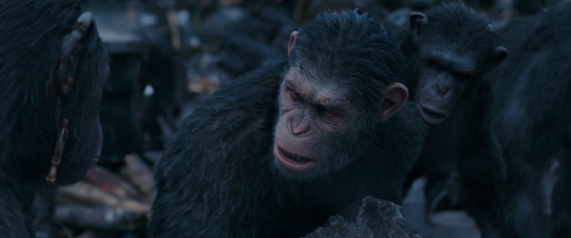 War for the Planet of the Apes (2017) HD screenshot 8117