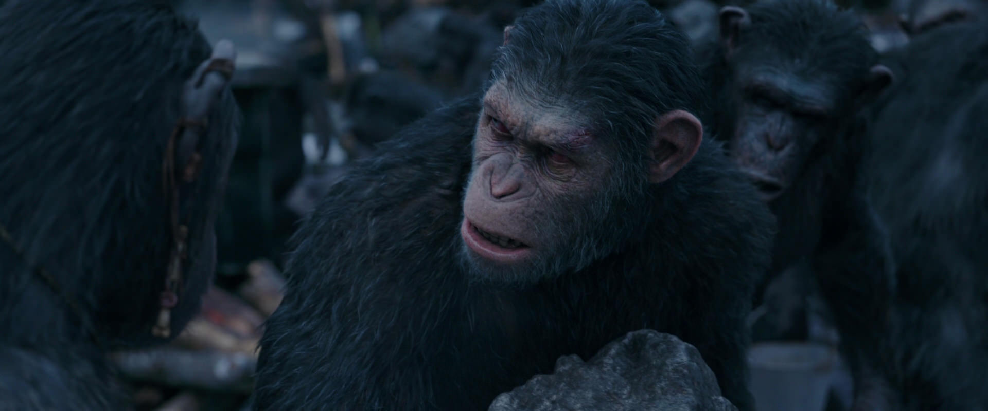 War for the Planet of the Apes (2017) screencap 8118