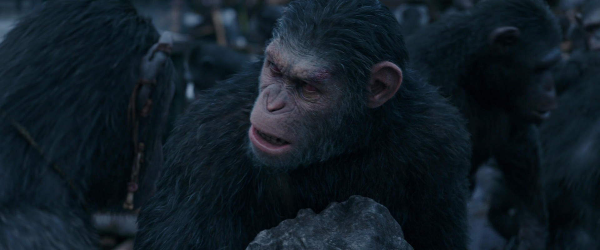 War for the Planet of the Apes (2017) movie still 8119
