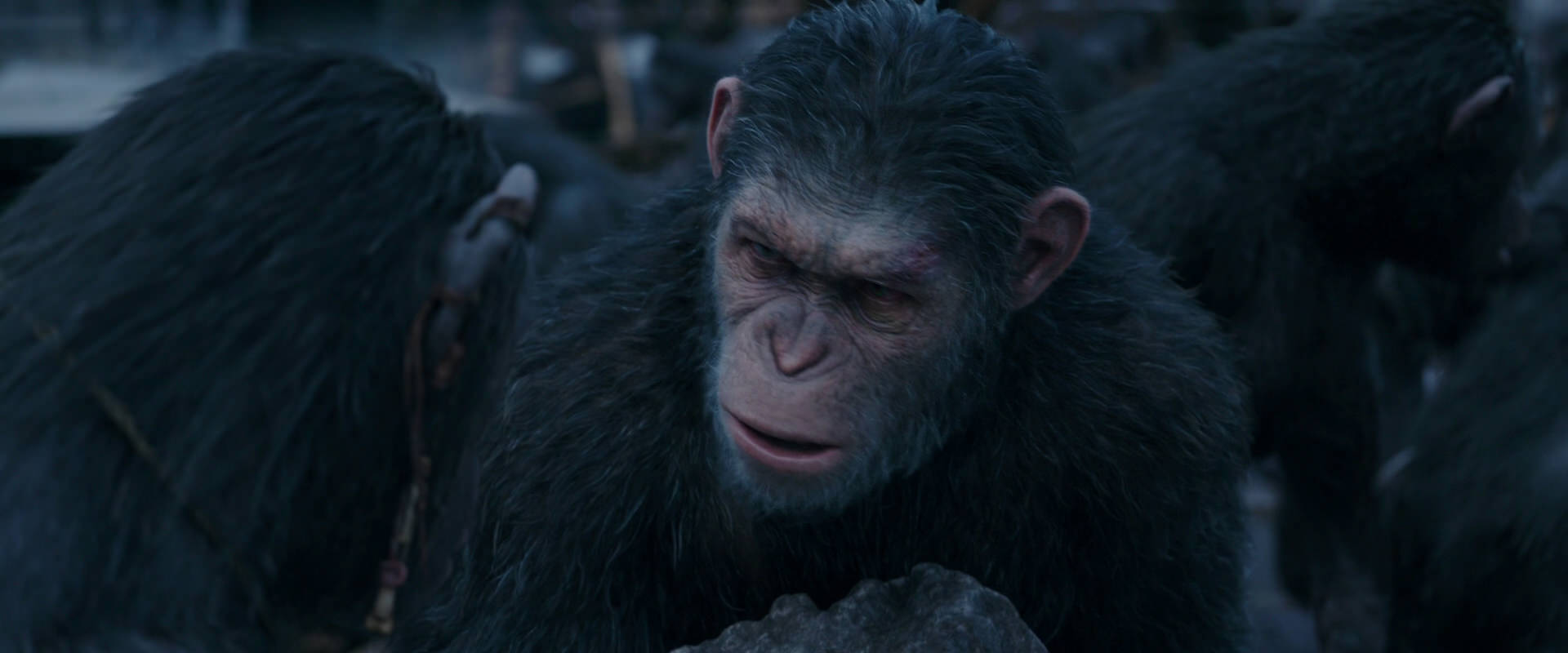 War for the Planet of the Apes (2017) HD screenshot 8120