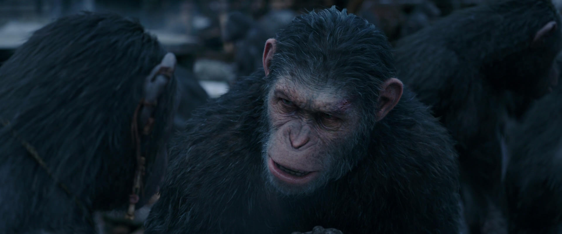 War for the Planet of the Apes (2017) screencap 8121