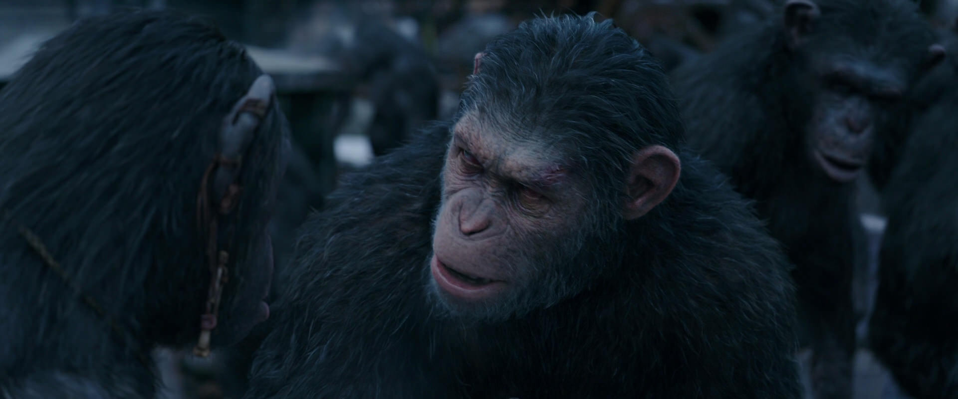 War for the Planet of the Apes (2017) movie still 8122