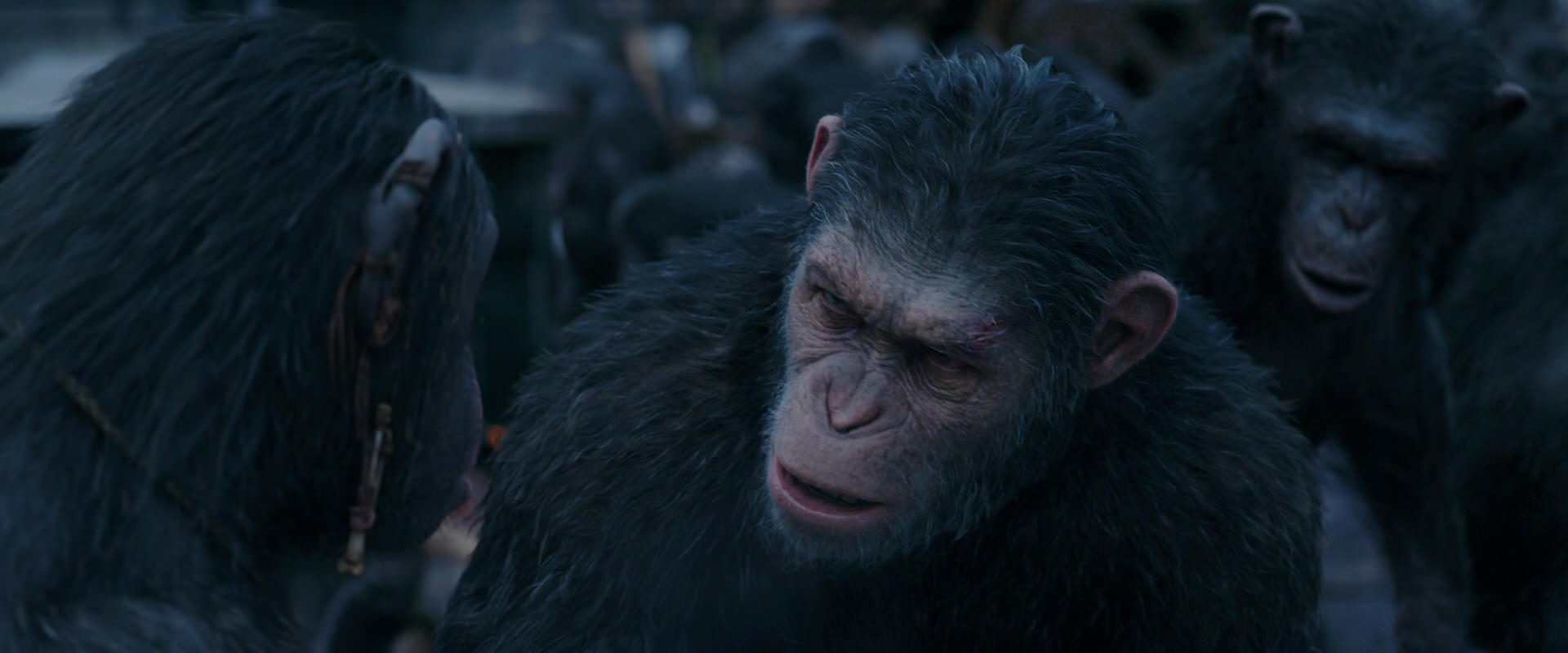 War for the Planet of the Apes (2017) HD screenshot 8123