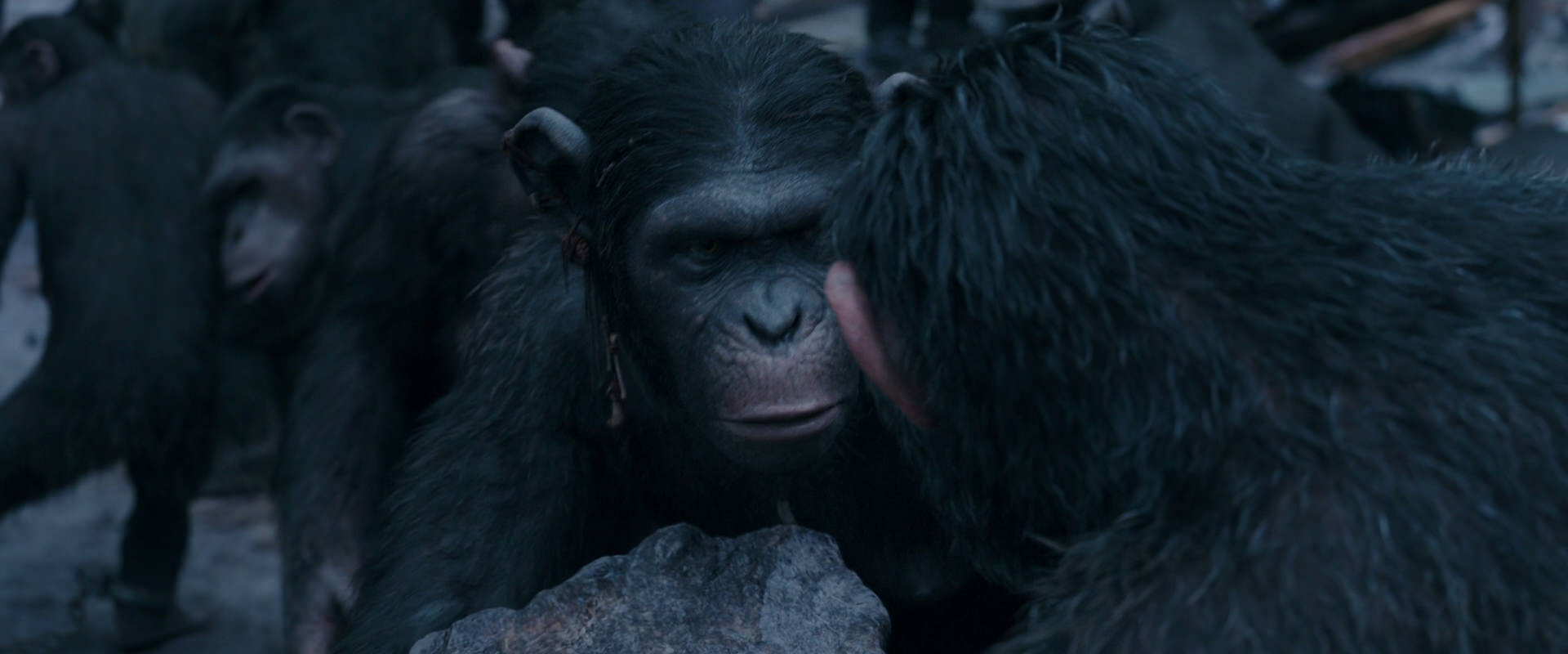 War for the Planet of the Apes (2017) screencap 8124
