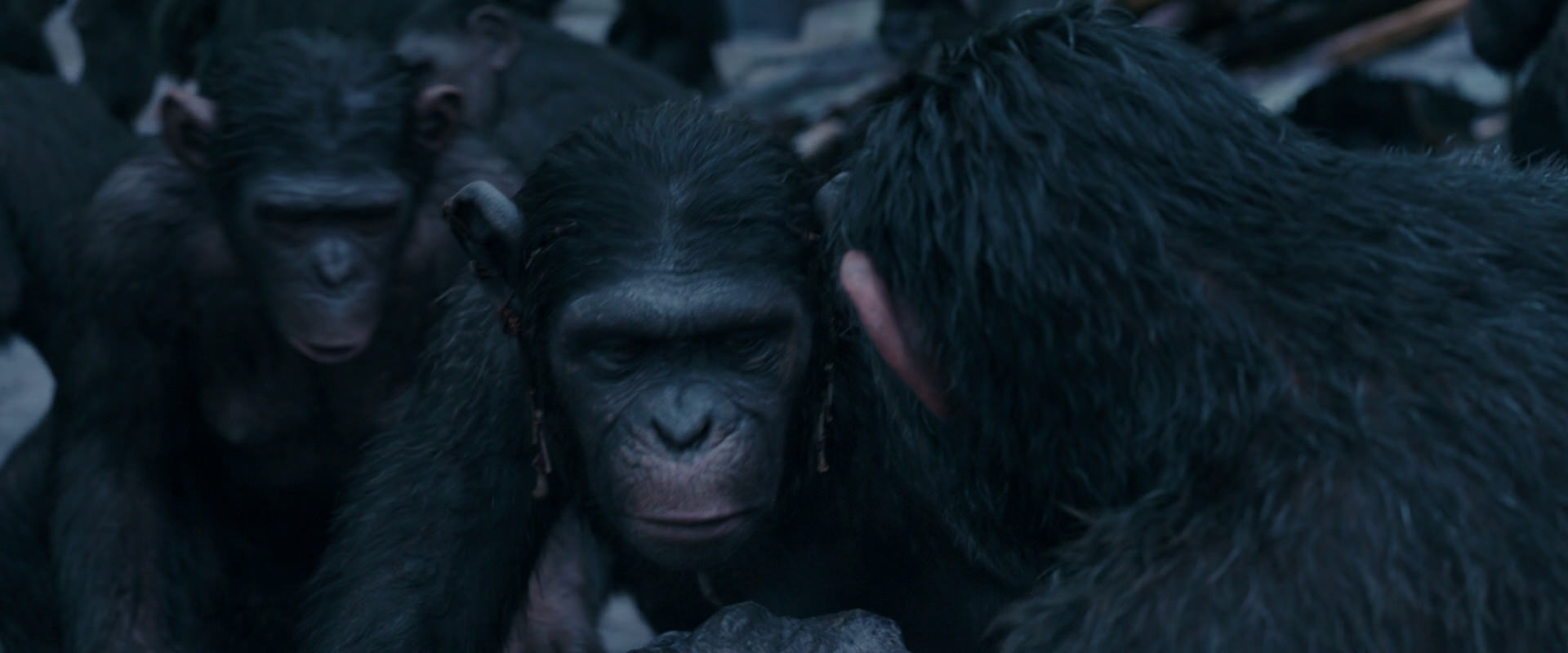 War for the Planet of the Apes (2017) movie still 8125