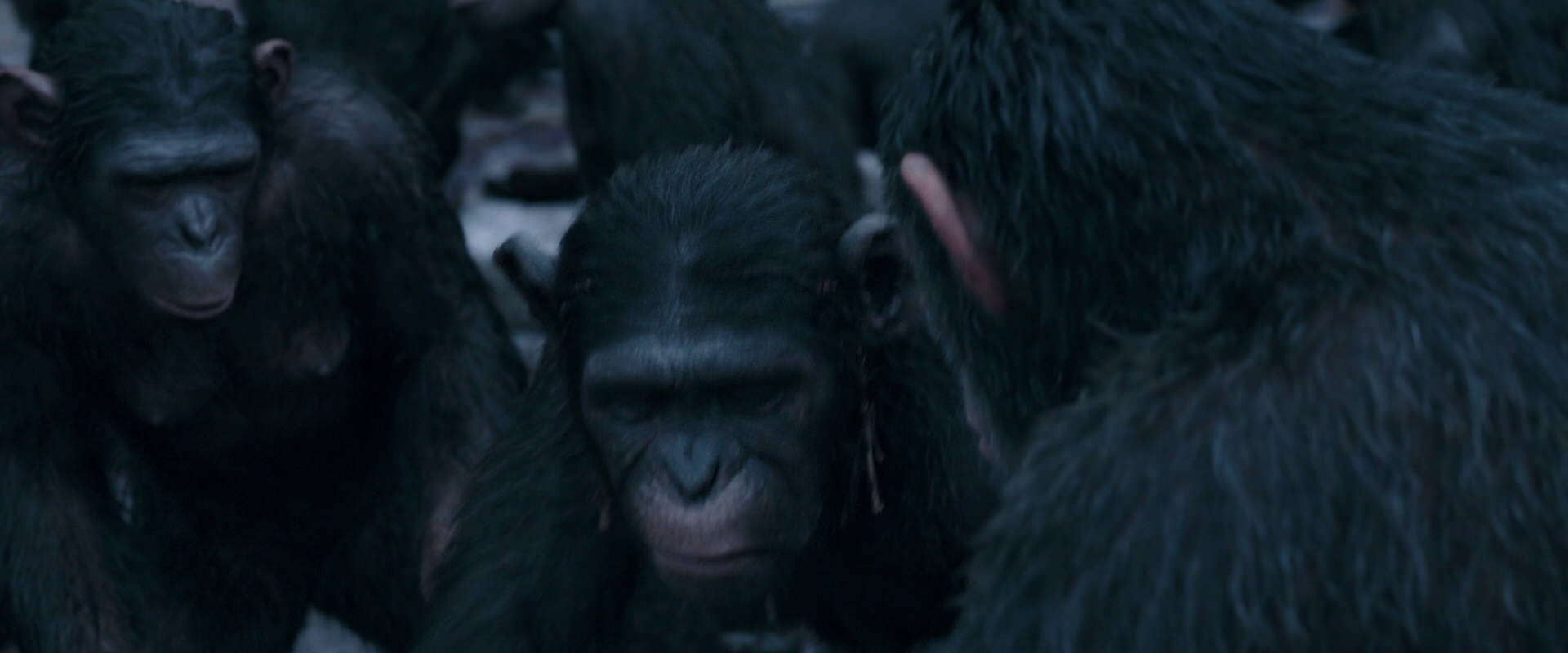 War for the Planet of the Apes (2017) HD screenshot 8126