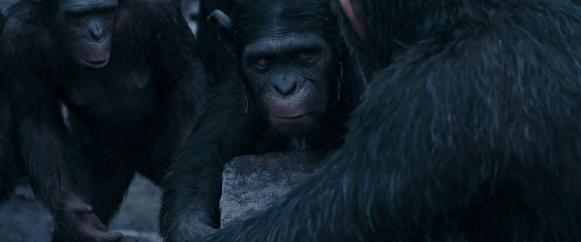 War for the Planet of the Apes (2017) screencap 8127