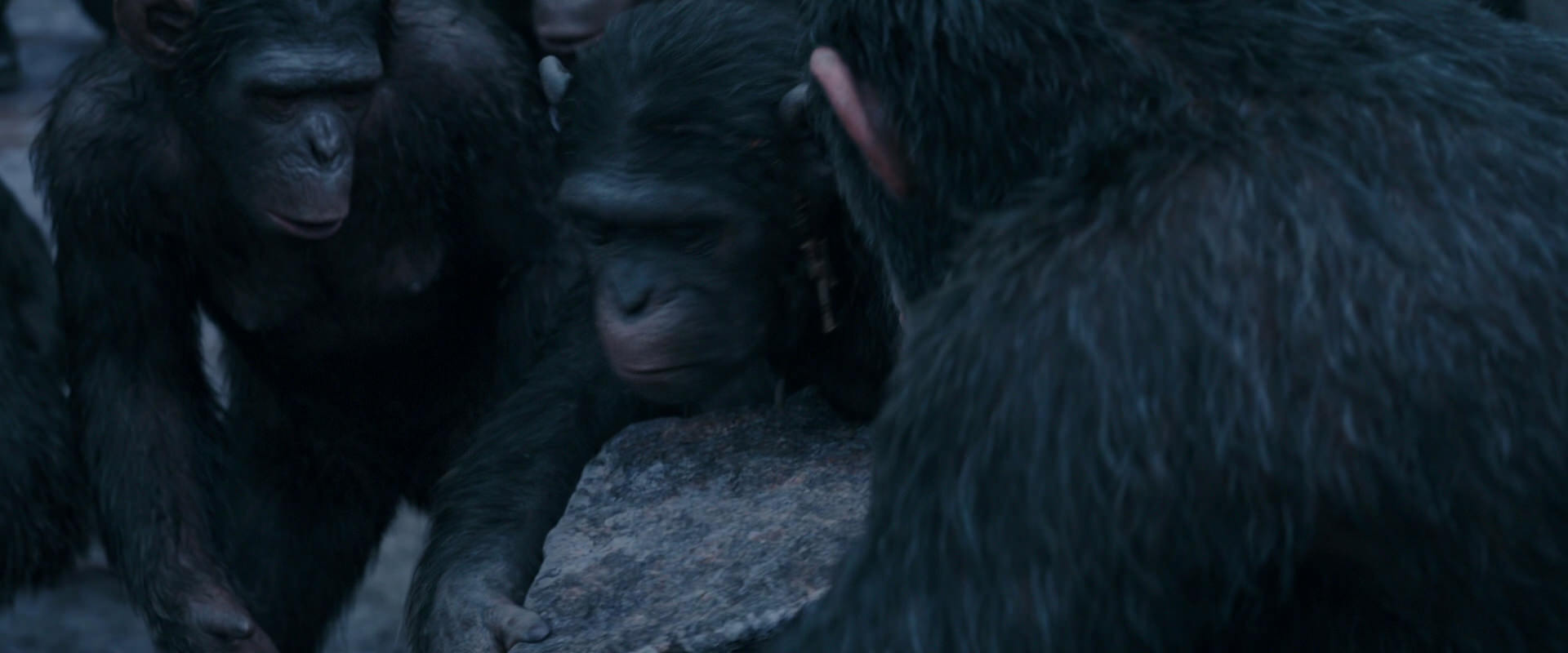 War for the Planet of the Apes (2017) movie still 8128