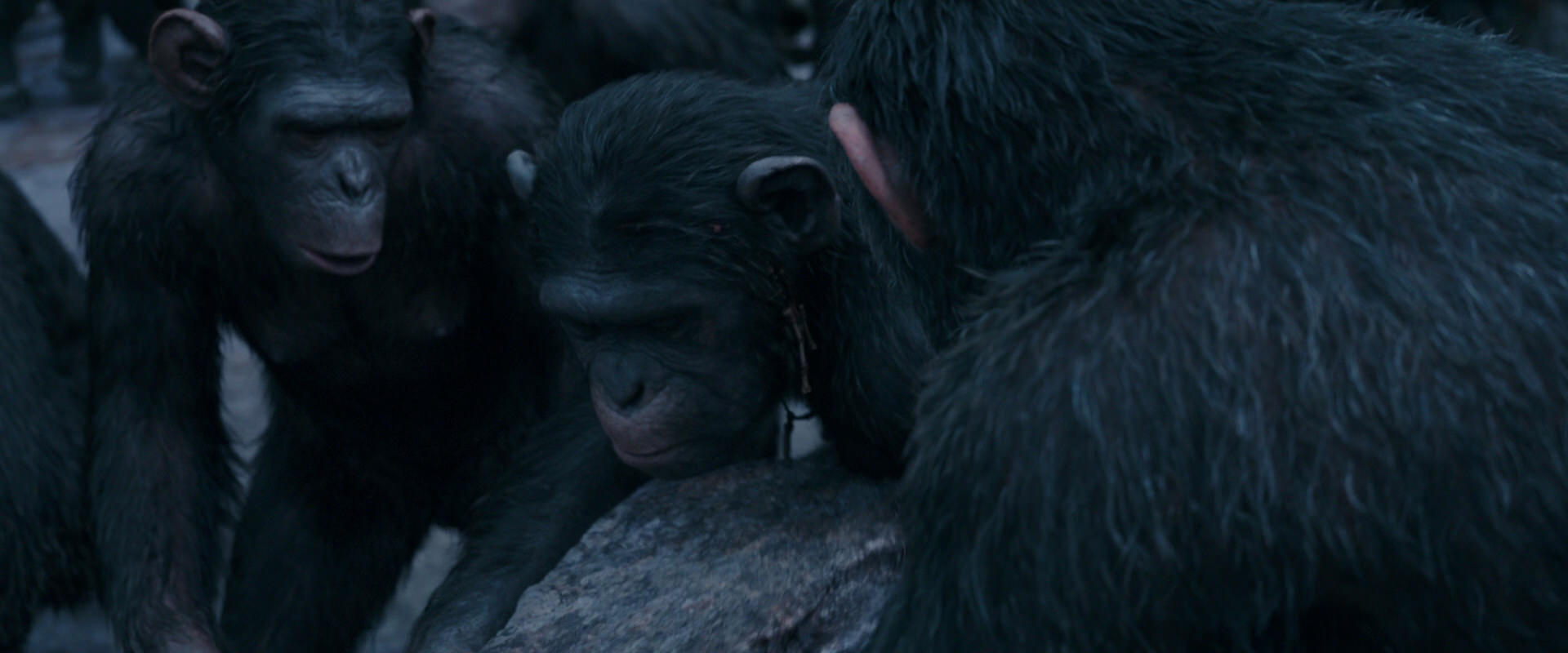 War for the Planet of the Apes (2017) HD screenshot 8129