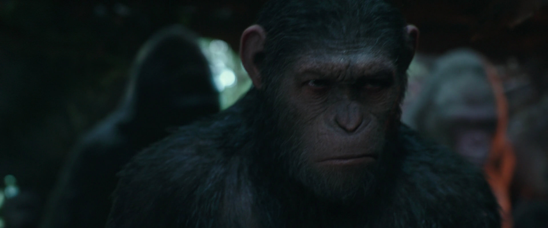 War for the Planet of the Apes (2017) screencap 813